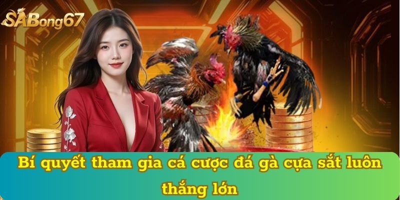 Bí quyết tham gia cá cược đá gà cựa sắt luôn thắng lớn