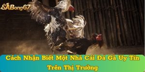 Cách Nhận Biết Một Nhà Cái Đá Gà Uy Tín Trên Thị Trường