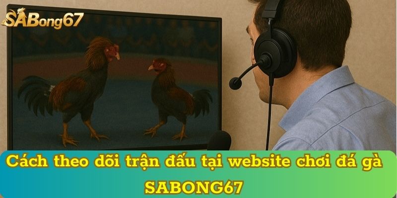 Cách theo dõi trận đấu tại website chơi đá gà SABONG67