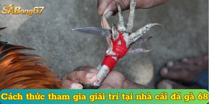 Cách thức tham gia giải trí tại nhà cái đá gà 68