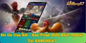 Đá Gà Cựa Sắt - Sàn Trình Diễn Khắc Nghiệt Tại SABONG67