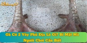 Gà Có 2 Vảy Phủ Địa Là Gì? Bí Mật Mà Người Chơi Cần Biết