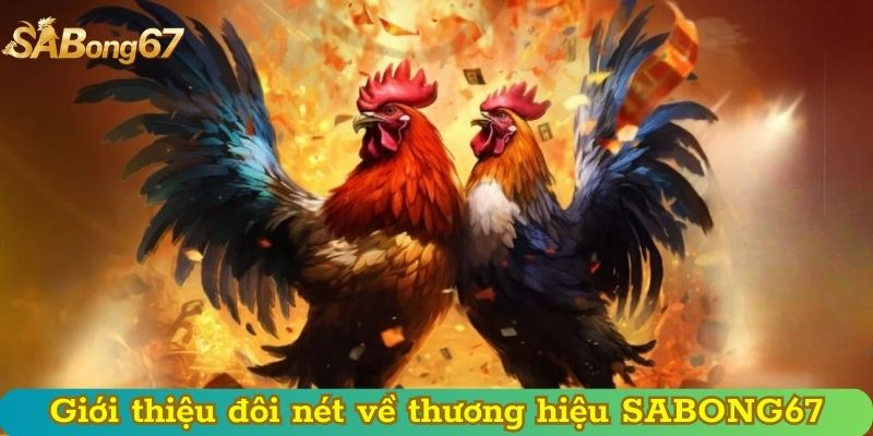Giới thiệu đôi nét về thương hiệu SABONG67
