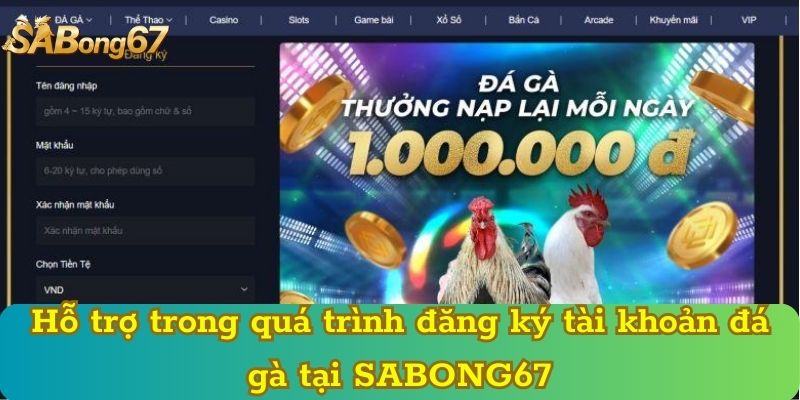 Hỗ trợ trong quá trình đăng ký tài khoản đá gà tại SABONG67