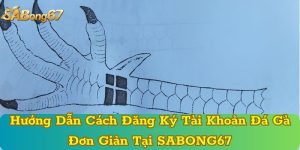 Hướng Dẫn Cách Đăng Ký Tài Khoản Đá Gà Đơn Giản Tại SABONG67