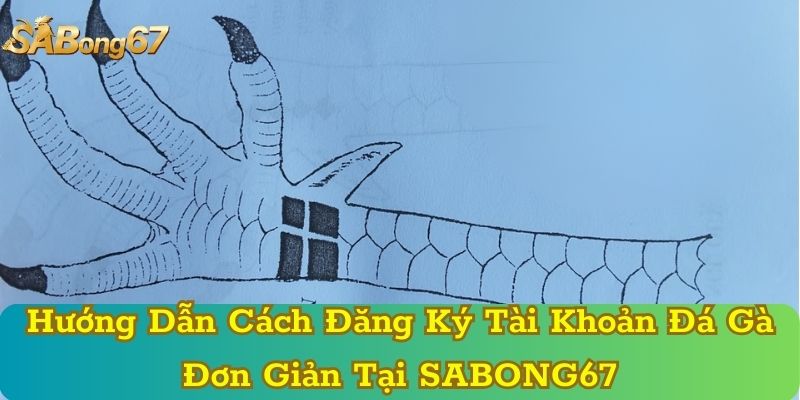 Hướng Dẫn Cách Đăng Ký Tài Khoản Đá Gà Đơn Giản Tại SABONG67