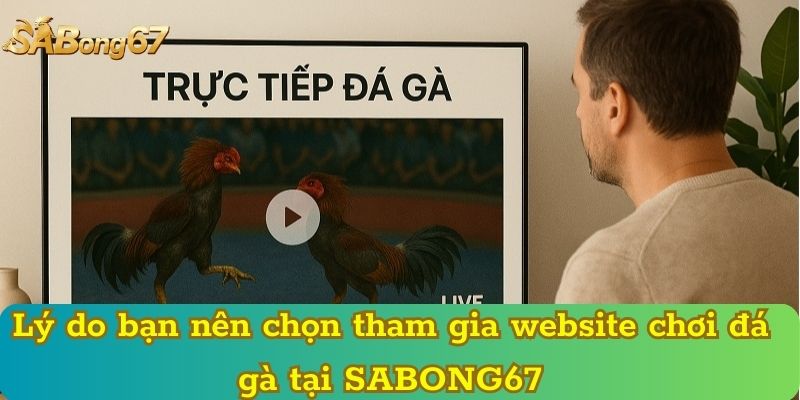 Lý do bạn nên chọn tham gia website chơi đá gà tại SABONG67