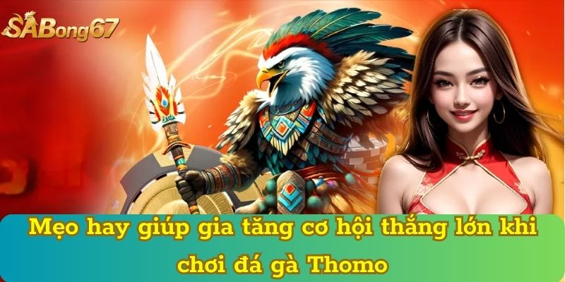 Mẹo hay giúp gia tăng cơ hội thắng lớn khi chơi đá gà Thomo
