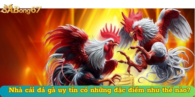 Nhà cái đá gà uy tín có những đặc điểm như thế nào?