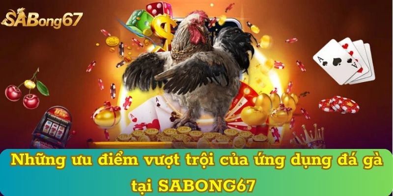 Những ưu điểm vượt trội của ứng dụng đá gà tại SABONG67