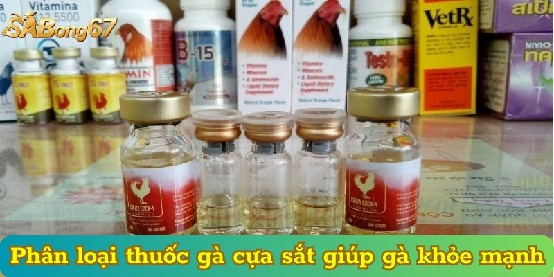 Phân loại thuốc gà cựa sắt giúp gà khỏe mạnh