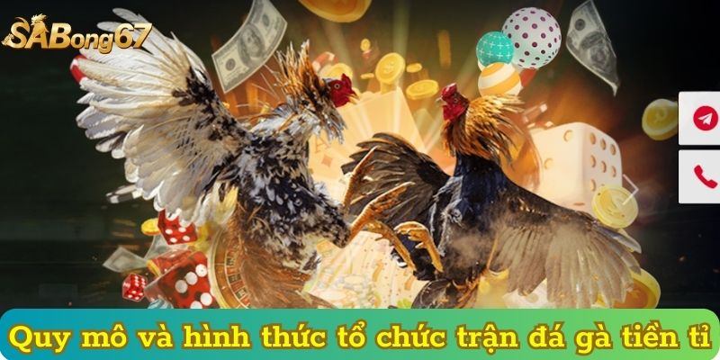 Quy mô và hình thức tổ chức trận đá gà tiền tỉ