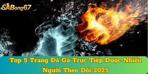 Top 5 Trang Đá Gà Trực Tiếp Được Nhiều Người Theo Dõi 2025